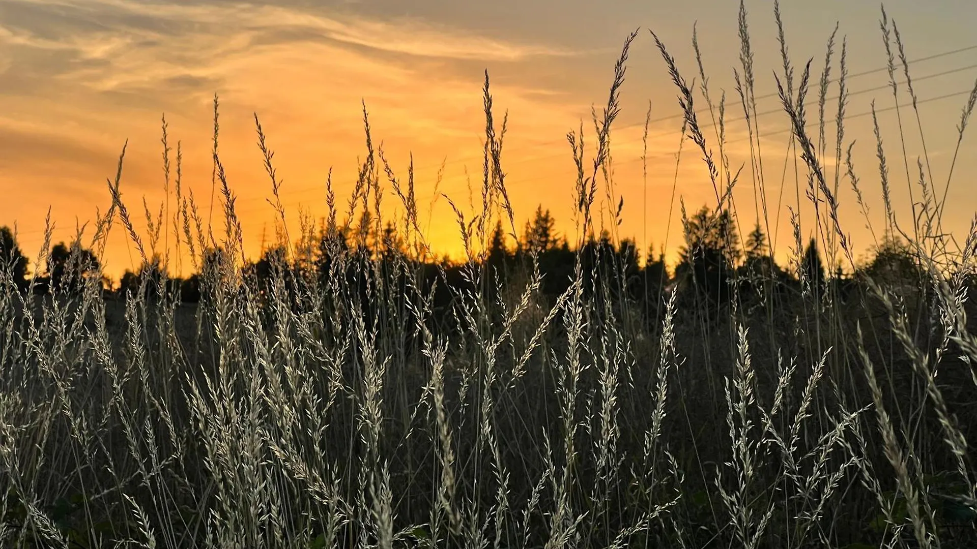 Bauernstube Διαμέρισμα Grafengehaig Γερμανία